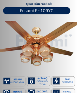 109Y C