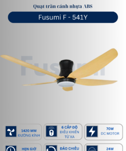 541Y